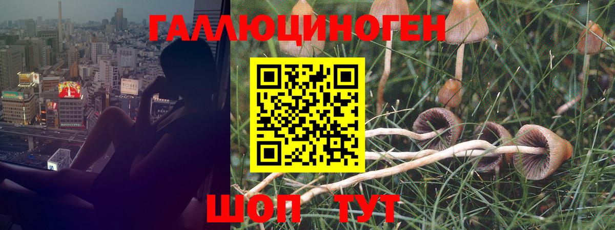 Галлюциногенные грибы GOLDEN TEACHER  Вход с VPN  Пермь  Галлюциногенные грибы ЛСД 