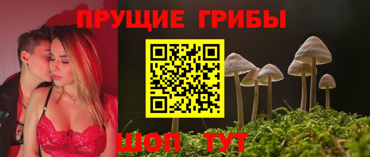 Псилоцибиновые грибы прущие грибы Пермь